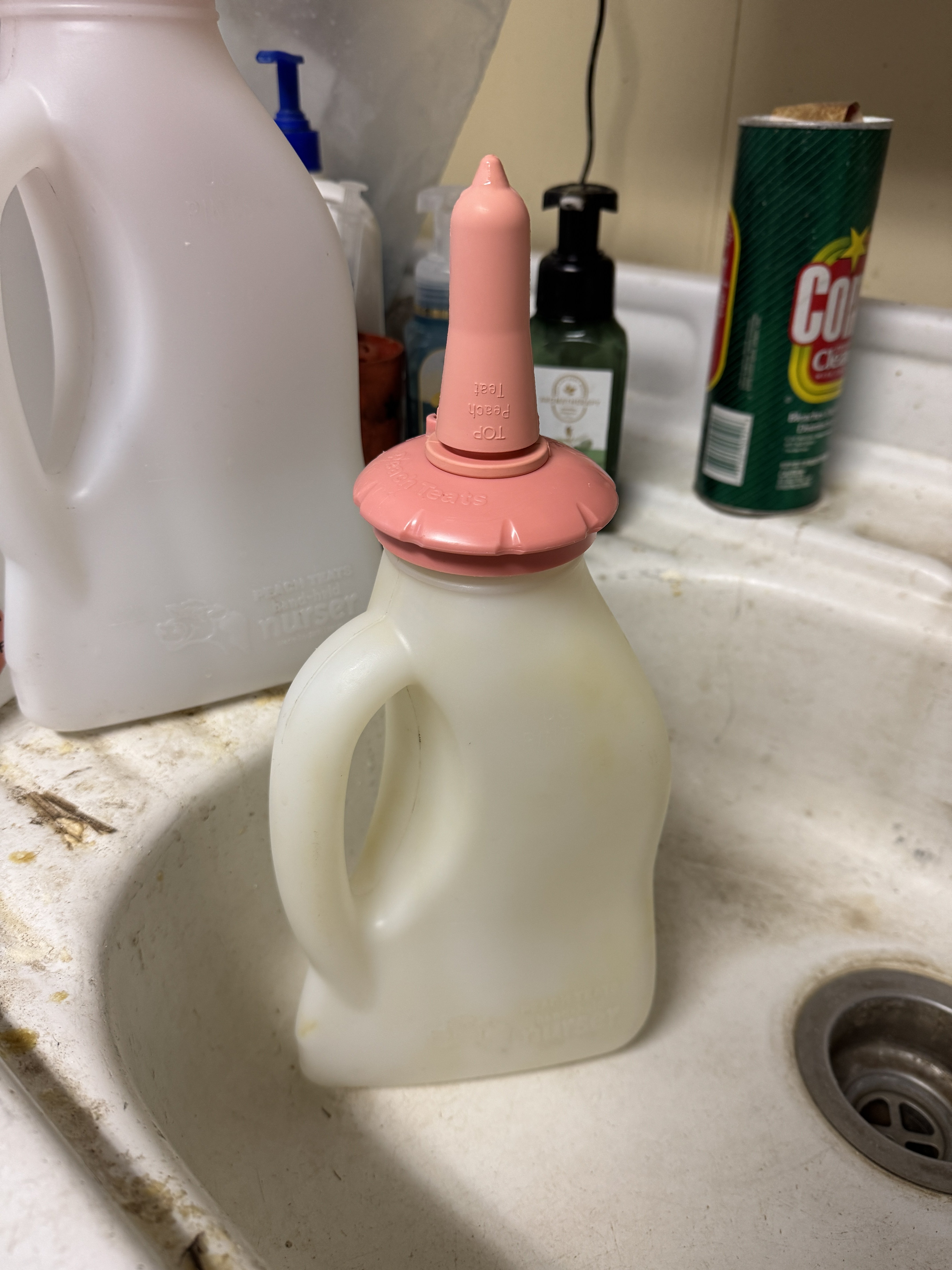 IMG_4755.jpeg