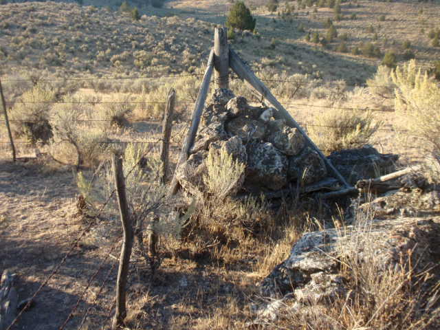 PA021207.JPG