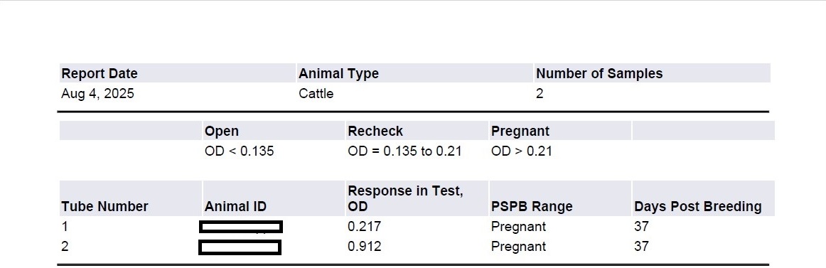 Screenshot (246) copy.jpg