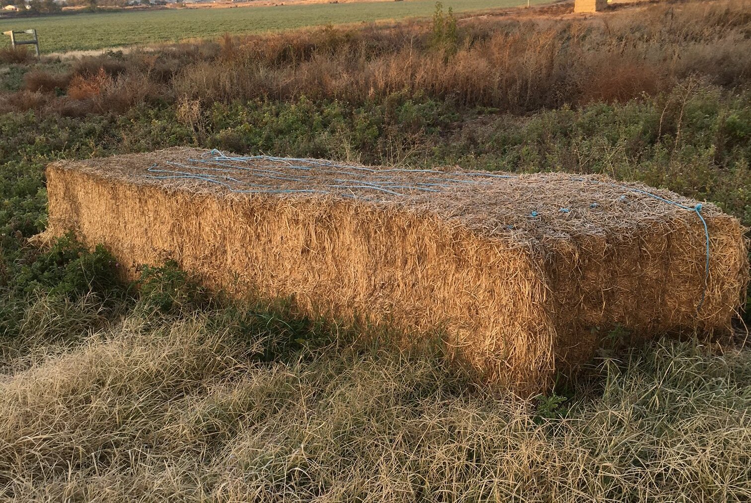 hay 3k.jpg
