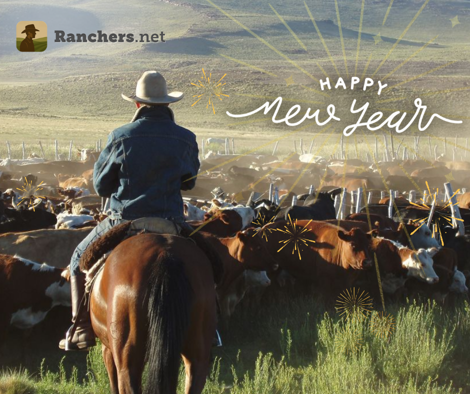 NY-Ranchers.png