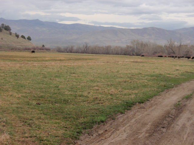 P3240293.JPG