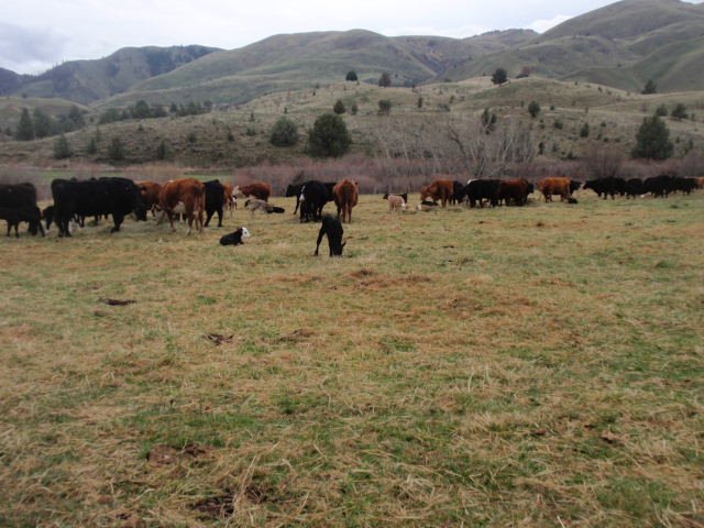 P3240288.JPG