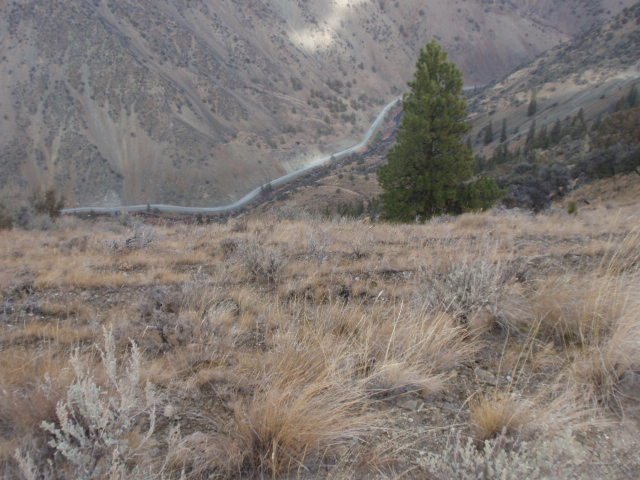 PB181704.JPG
