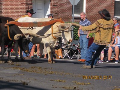 IMG_2697.JPG